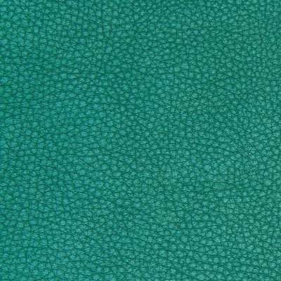 pelle-verde-texture Pelle verde texture