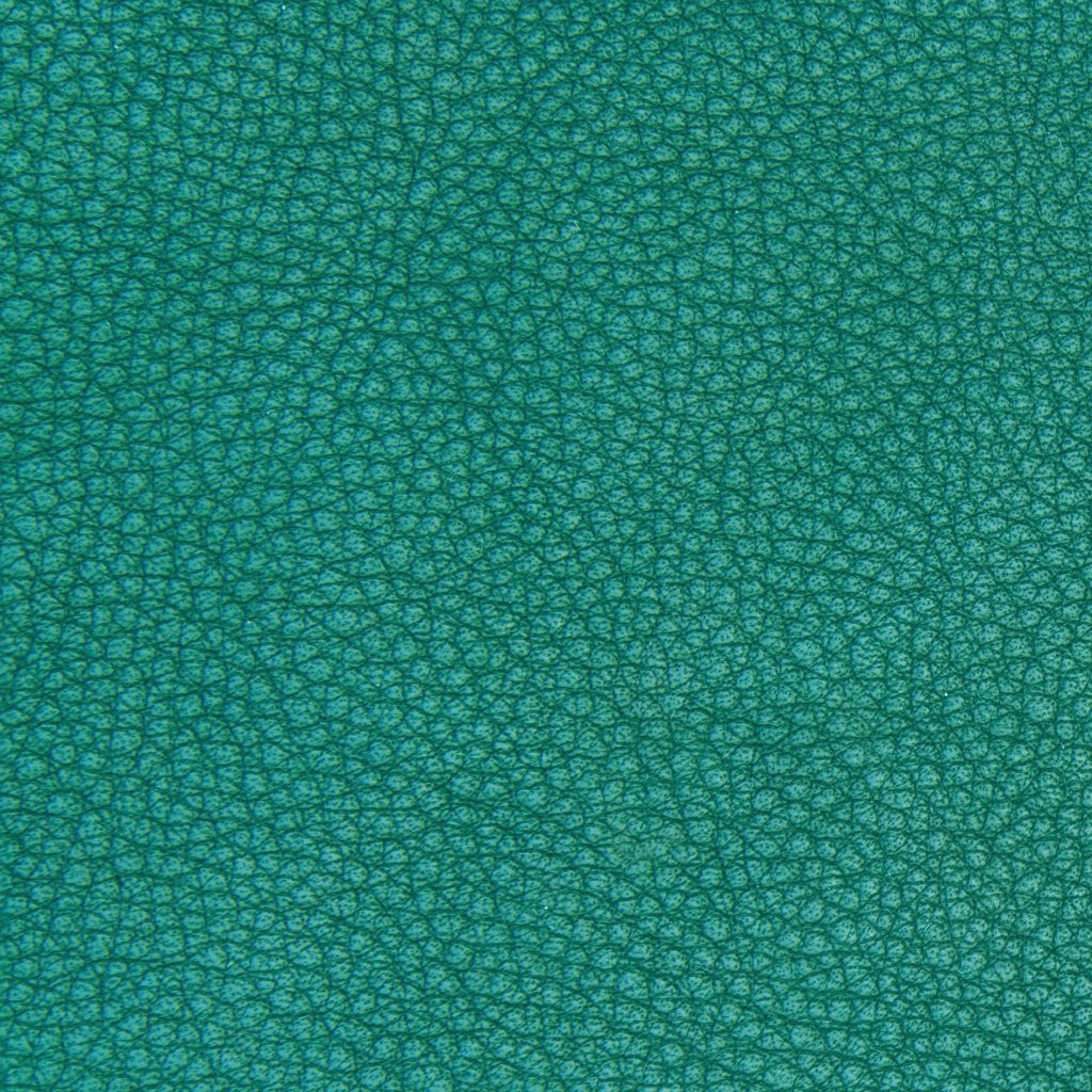 pelle-verde-texture Pelle verde texture